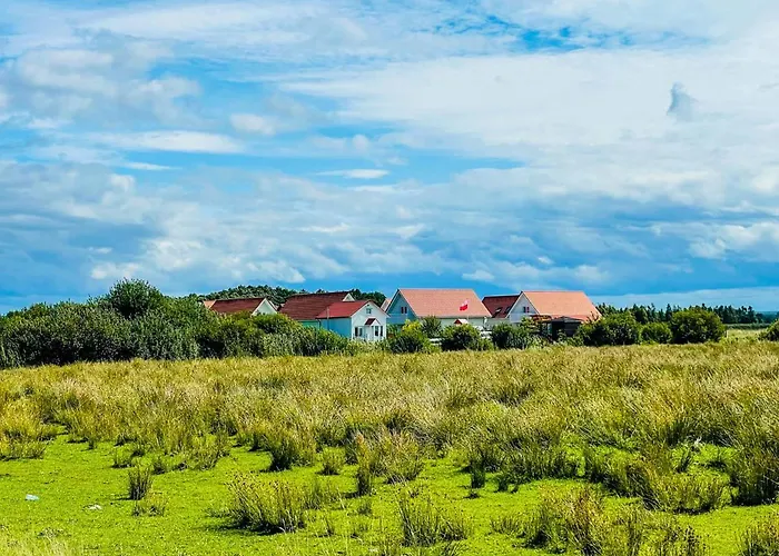 Domki Summer 度假居 莱鲍